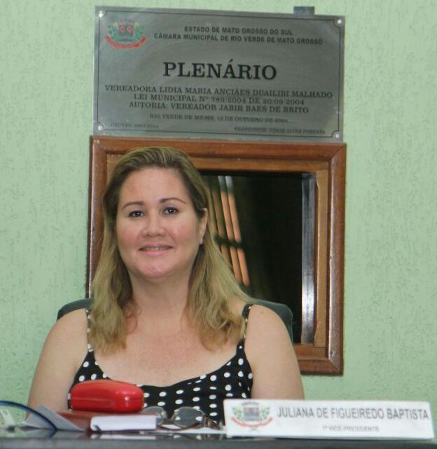 Vereadora Juliana pede informação sobre Plano de Assistência Social